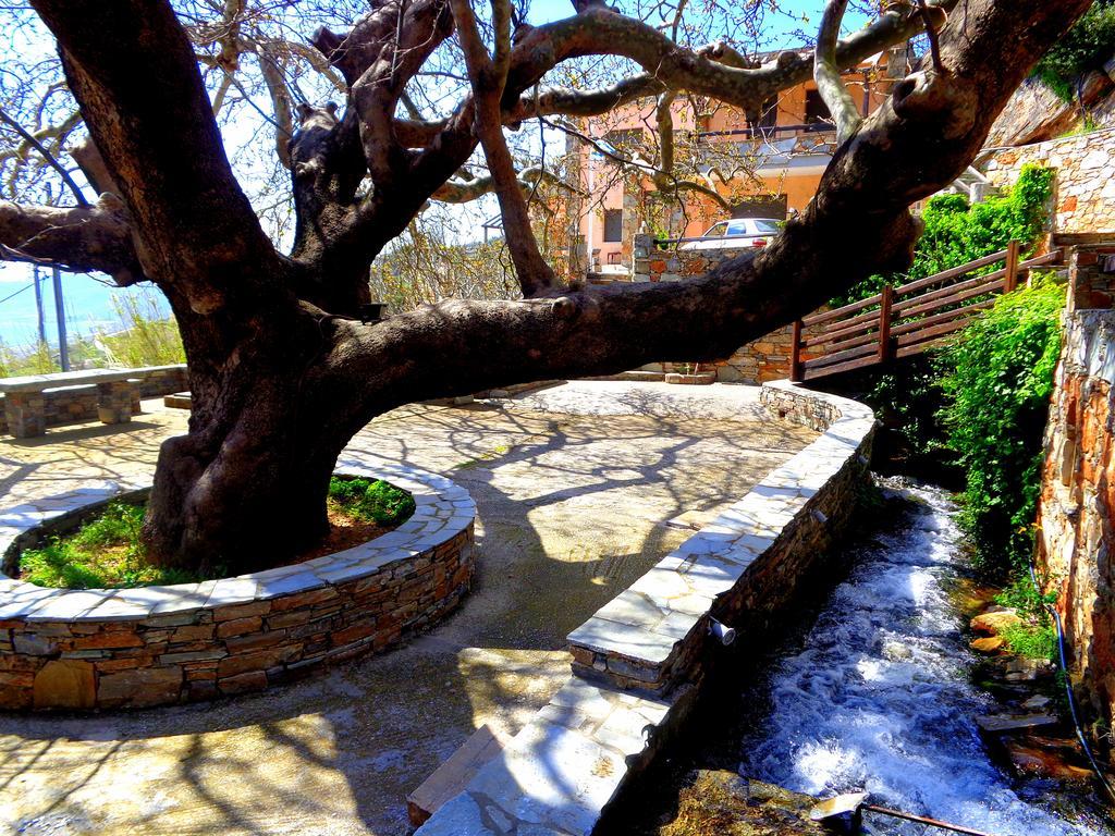 Makronas Apartments Karystos  Extérieur photo