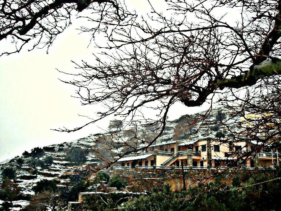 Makronas Apartments Karystos  Extérieur photo