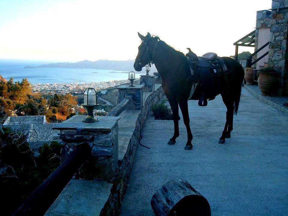 Makronas Apartments Karystos  Extérieur photo